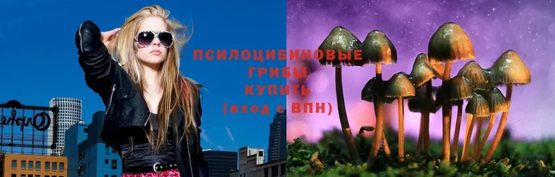 Галлюциногенные грибы Psilocybe  как найти   Лесной 